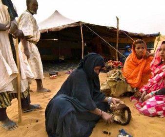Nomads and Bedouins tours to Mauritania